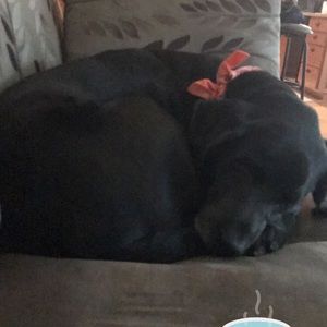 Meet your Posher, Brieana